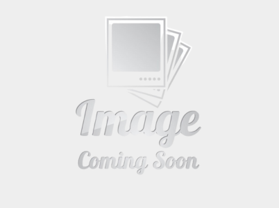 team_img1