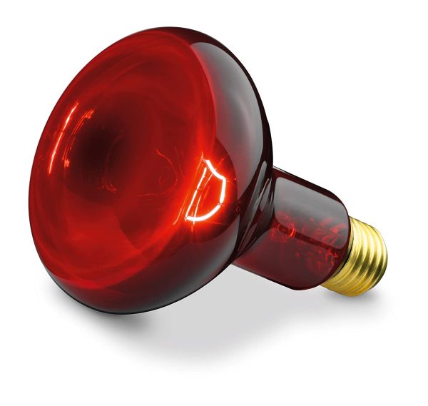 Beurer IL11 Infrared Light Heat Therapy Lamp - Image 4