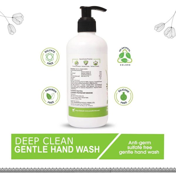 Ayouthveda Deep Clean Gentle Hand Wash (Set of 2) - Image 2