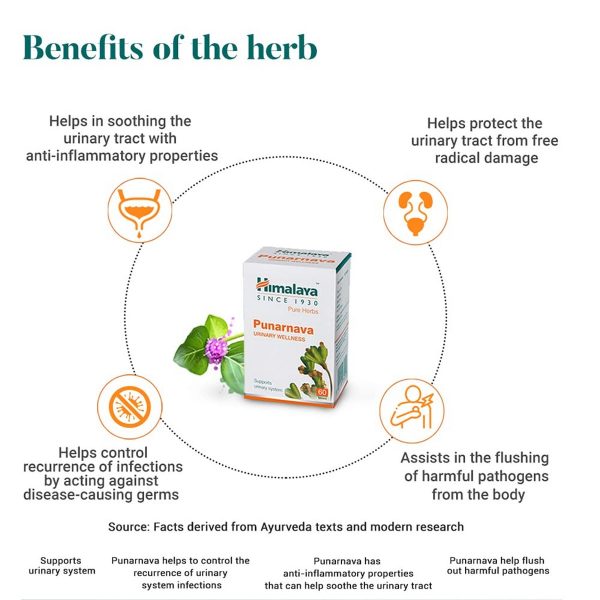 Himalaya Punarnava Tablets (60 Tablets) - Image 4