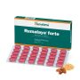   Himalaya Rumalaya forte (30 Tablets)