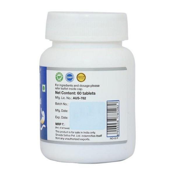 Sri Sri Tattva Amlapittari Vati Tablet (60 Tablets) - Image 2