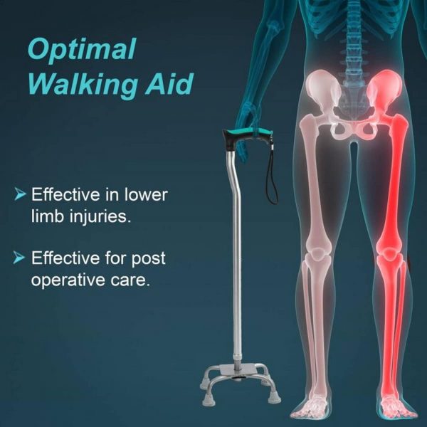 Tynor Walking Stick Quadripod, Silver (1 Unit) - Image 2