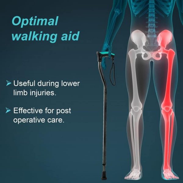 Tynor Walking Stick, Universal (1 Unit) - Image 2