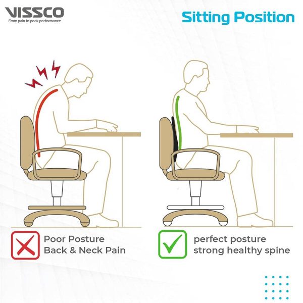Vissco Smart Orthopaedic Back Rest for back pain relief - Image 3