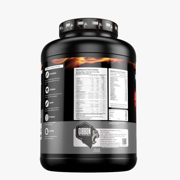 Gibbon Fire Whey (2 Kg) - Image 5